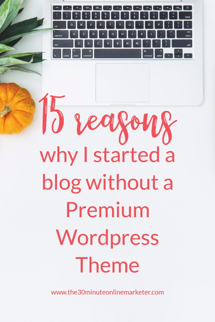 15 reasons why I started a blog without a Premium WordPress Theme