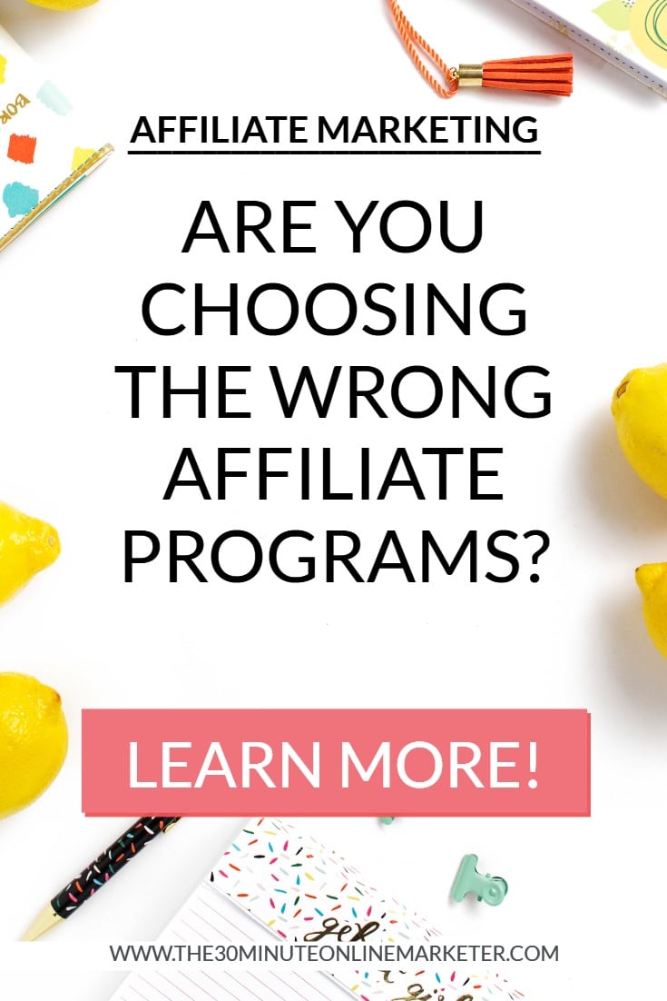 Learn how to choose the best and most profitable affiliate programs for your blog in Shareasale