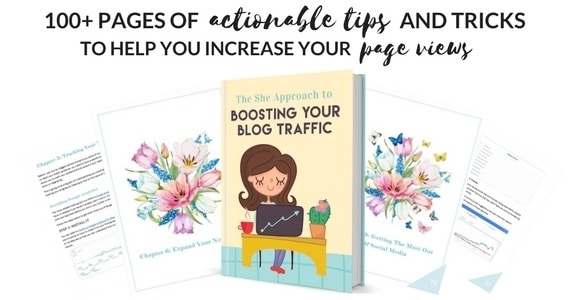 Blog Traffic Book by The She Approach