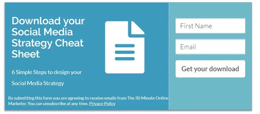 Example of optin form